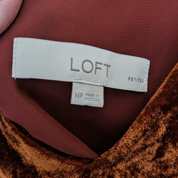 Velvet Tank Burnt Orange LOFT medium petite - Picture 5 of 10